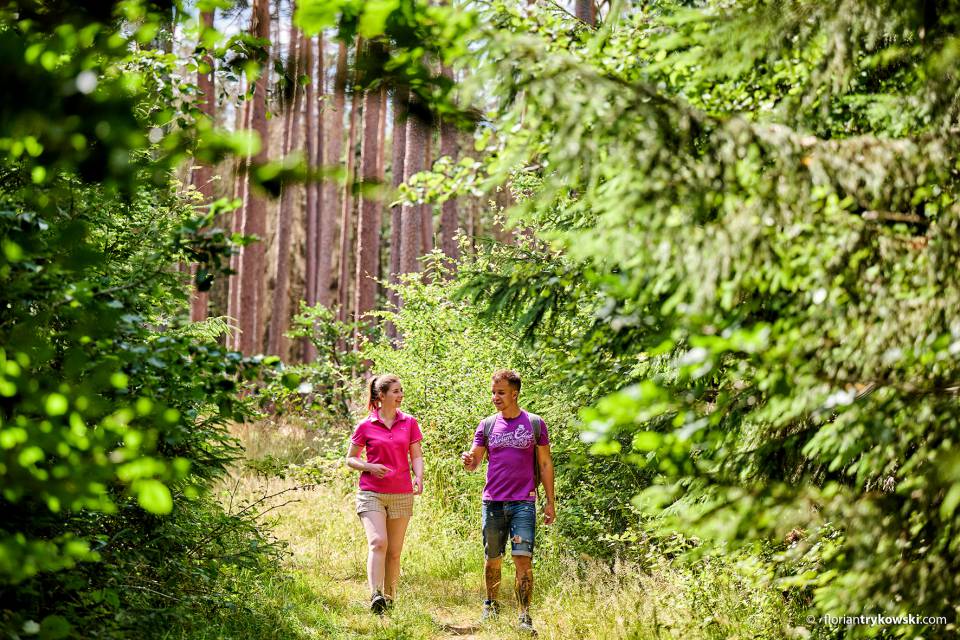On the trail of old love letters: Postbotenweg - Rappen Rothenburg