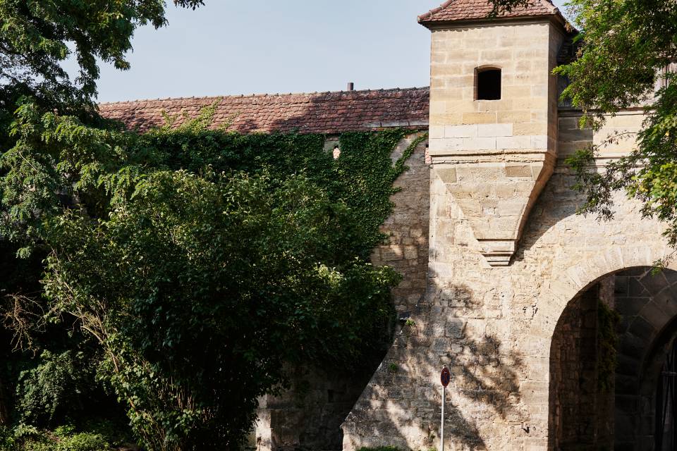 Discover historic trails: Along the Castle Road - Rappen Rothenburg
