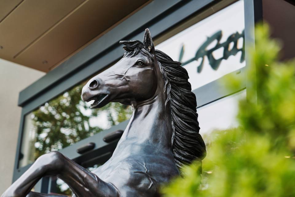 So that your bike is well looked after: Bike services at the Rappen - Rappen Rothenburg